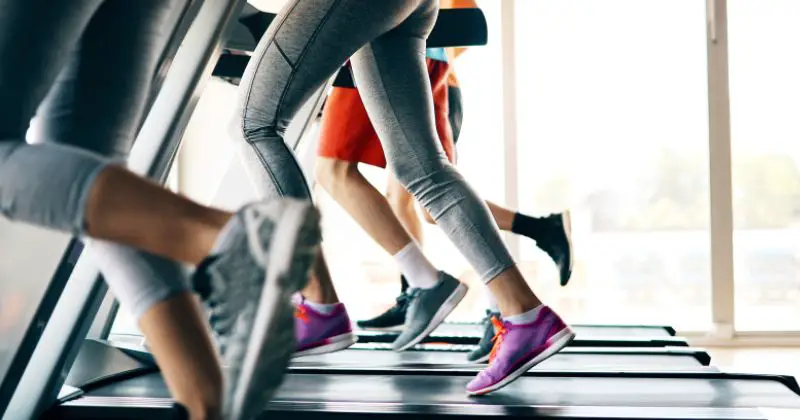 best treadmills for beginners.