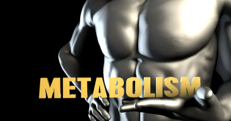 How to Build a Faster Metabolism While Sleeping