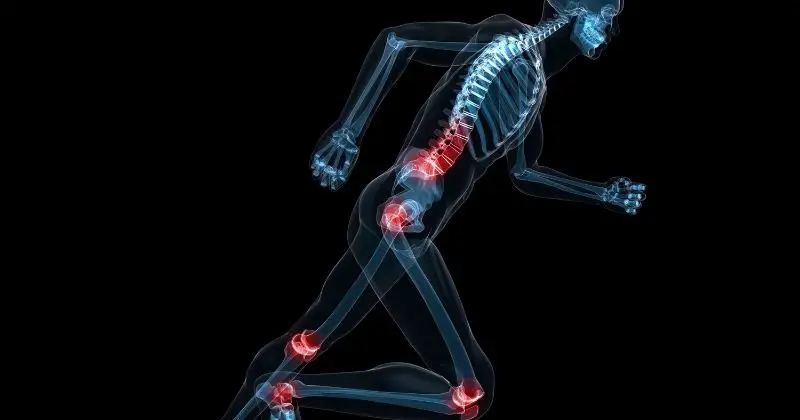 Glucosamine and Chondroitin for Joint Pain Relief - Skeleton