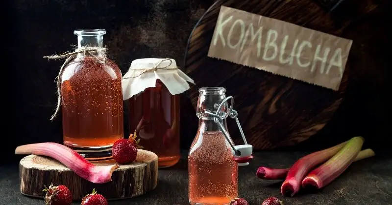 Is Kombucha Good for - Jars of Kombucha