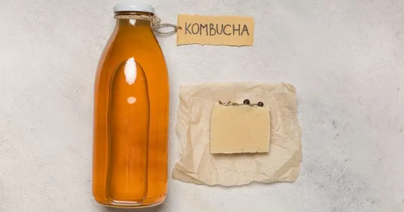 Is Kombucha Good for - Bottle of Kombucha