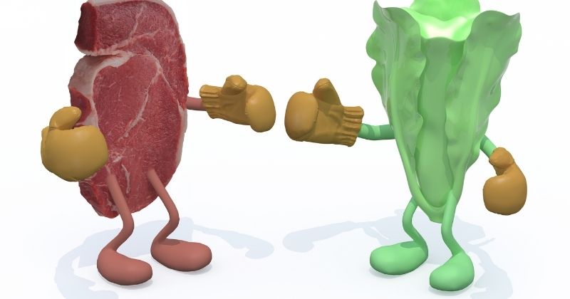 BCAAs vs. Protein - a steak boxing lettuce