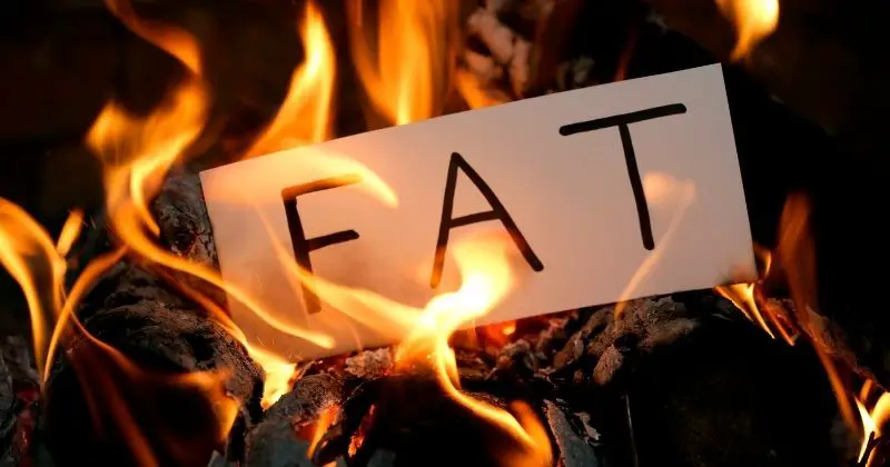 What is a Thermogenic - a fat sign burning in a fire