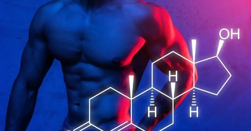 Will Exercise Increase Testosterone - a male upper body with a gene chain overlay