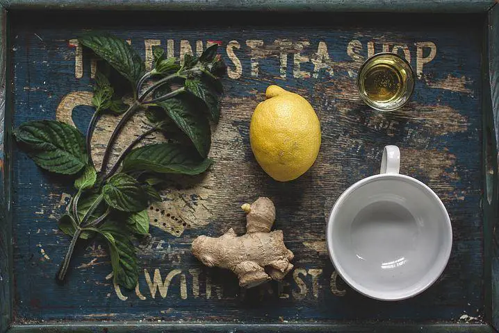 What is a Thermogenic - a lemon, ginger root, and a cup