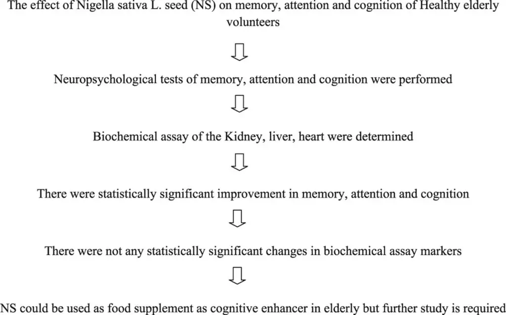 Full-Spectrum Black Seed Oil – The effects of black seeds and oil on memory diagram