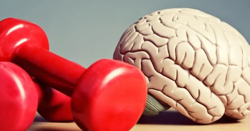 Exercises to Improve Mental Health - a brain and dumbbells