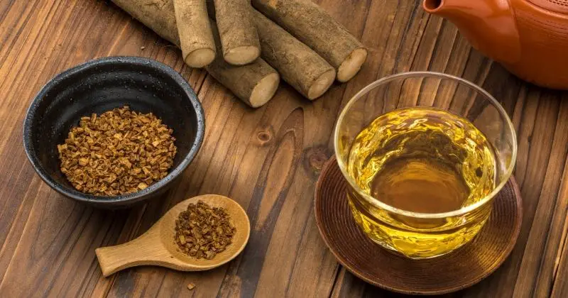 Benefits of Burdock Root - burdock roots and tea on a table