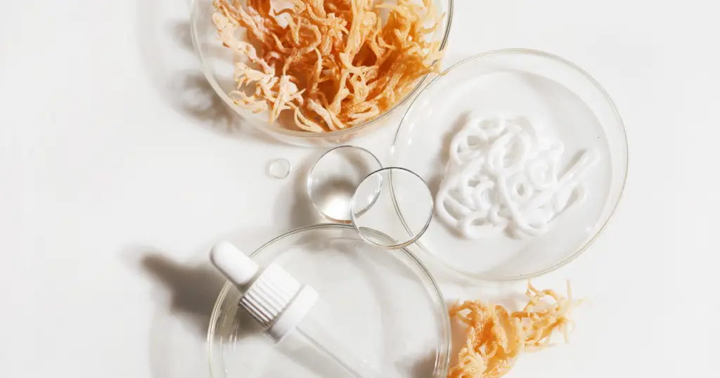 Benefits of Sea Moss – sea moss, a dropper bottle, and a petri dish on a table.