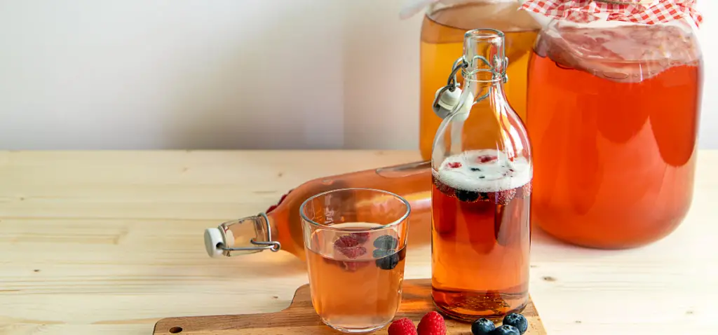 Is Kombucha Good for Weight Loss