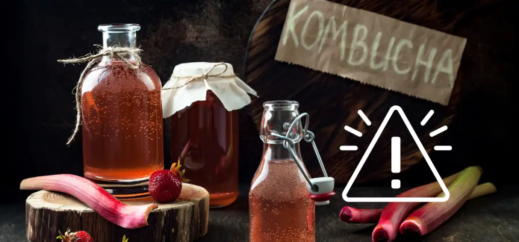 Is Kombucha Good for Weight Loss